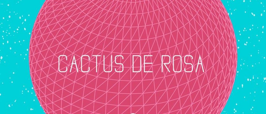 Cactus de Rosa